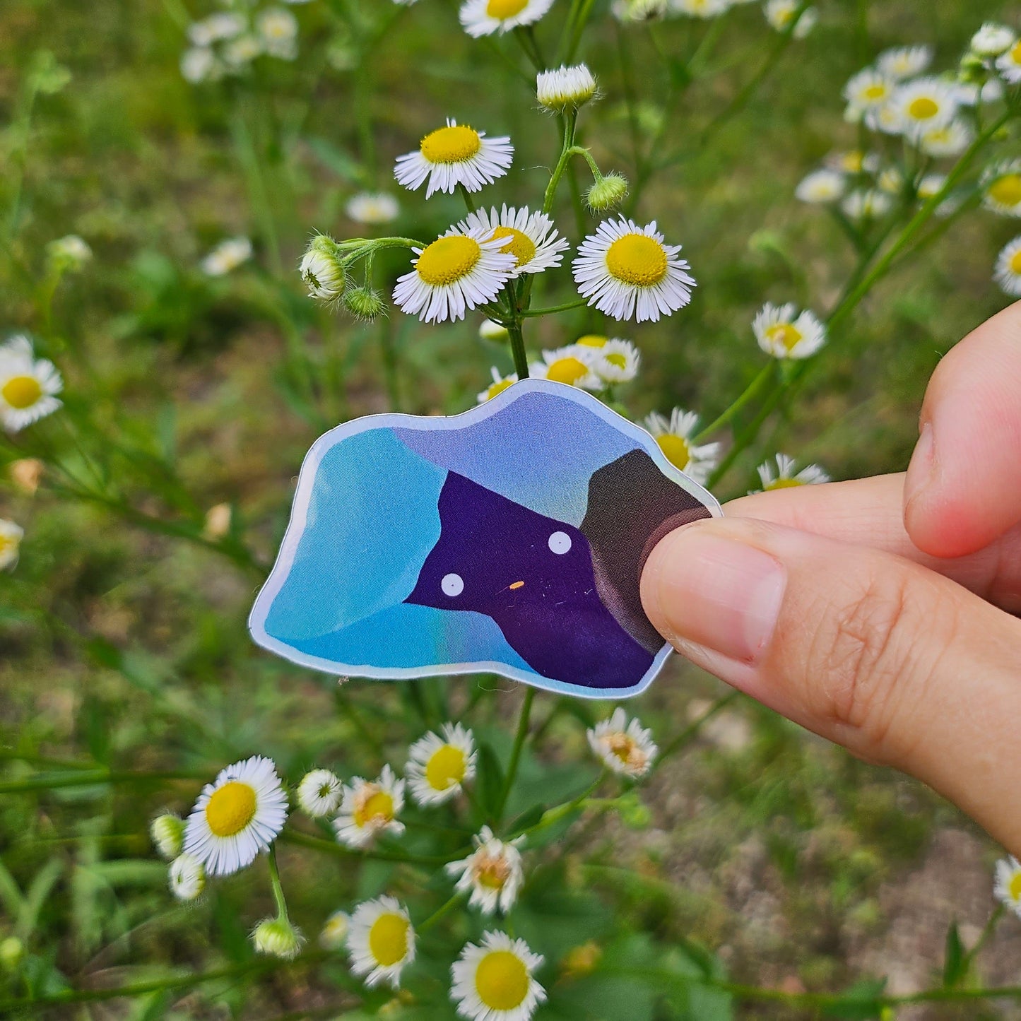 Mineral Bros™ sticker: Fluorite